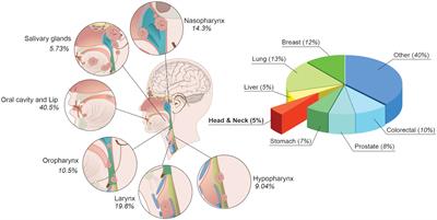Electrochemotherapy for head and neck cancers: possibilities and limitations